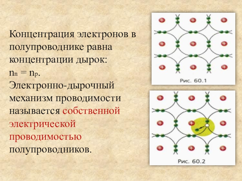 Электрический ток в полупроводниках. Концентрация электронов в полупроводнике. Электроны в полупроводниках. Концентрация дырок в полупроводнике. Движение дырок и электронов в полупроводнике.