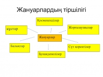 Презентация по Познанию мира на тему Жануарлар тіршілігі (2 А класс)