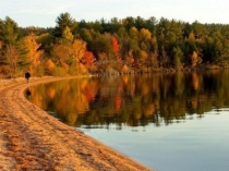 Презентация внеклассного занятия по краеведению на тему  Что и кто губит природу Волгоградской области? (1 класс)