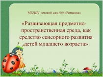 Презентация из опыта работы РППС, как средство сенсорного развития детей младшего возраста