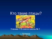 Открытый урок по окружающему миру 1 класс по теме : Кто такие птицы?