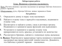 Презентация по биологии на тему Лабораторная работа №5 Внешнее строение насекомых.