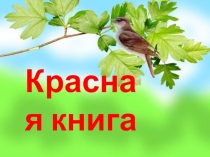 Открытый урок на тему Красная книга