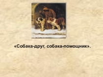 Презентация по окружающему миру к теме Домашние животные