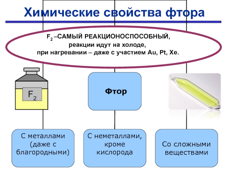 Презентация на тему галогены по химии 9 класс