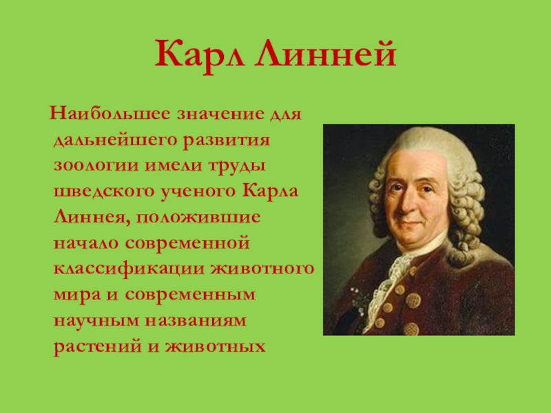 Значение для дальнейшего развития. Карл Линней 1707-1778 вклад в биологию. Карл Линней биология. Биолог Карл Линней. Карл Линней вклад кратко.