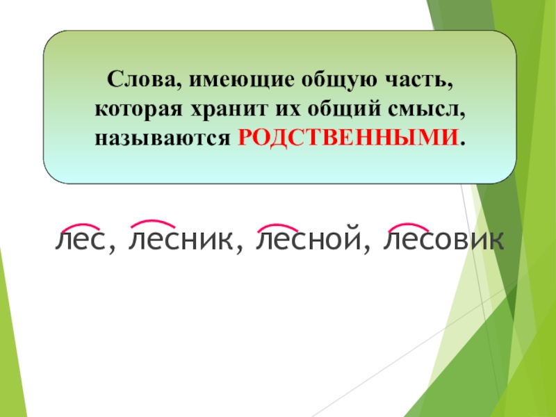 Лес родственные. Слова имеющие общую часть. Как называются слова имеющие общую часть. Как называются слова которые имеют общую часть. Лес Лесник форма слова.