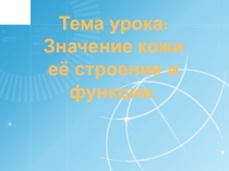 Презентация по биологии на тему Значение кожи её строение и функции