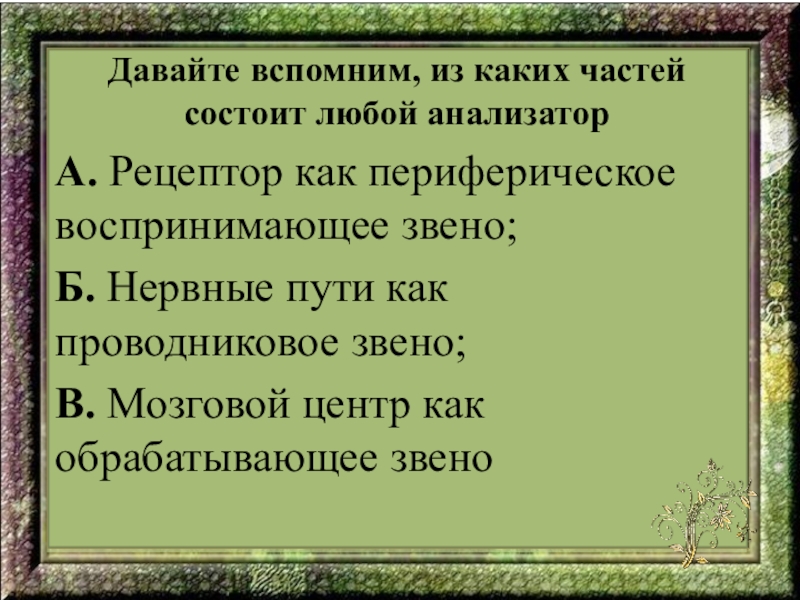 Любой заключаться. Из каких частей состоит любой анализатор. Изткаких частей состоит любой анализатор. Из каких звеньев состоит любой анализатор?. Из каких 3 частей состоит любой анализатор.