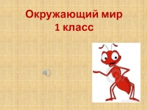 Презентация по окр.миру 1 класс Когда появился велосипед