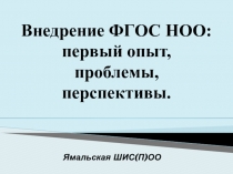 Внедрение ФГОС НОО: первый опыт, проблемы, перспективы.