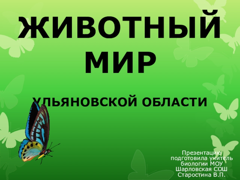 Презентация Презентация по биологии Животный мир Ульяновской области