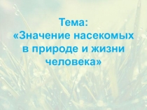 Презентация к уроку Значение насекомых в природе и жизни человека. 7 класс