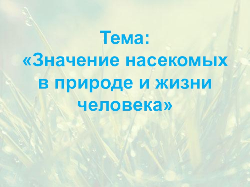 Презентация значение насекомых в природе и жизни человека 7 класс