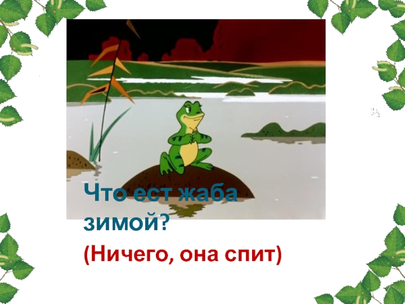 Где зимуют лягушки занятие в подготовительной группе презентация