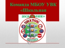 Презентация для выступления агитбригады  Азбука дорожного движения