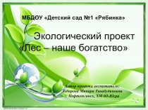 Презентация экологического проекта Лес - наше богатство