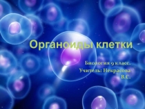 Презентация по биологии Органоиды клетки