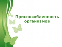 Презентация по биологии на тему: Приспособленность организмов (9,11 классы)