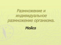 Презентация по биологии на тему Мейоз 10 класс