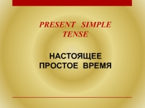 Презентация по английскому языку на тему  The Present Simple and The Past Simple Tenses