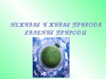 Этот удивительный мир