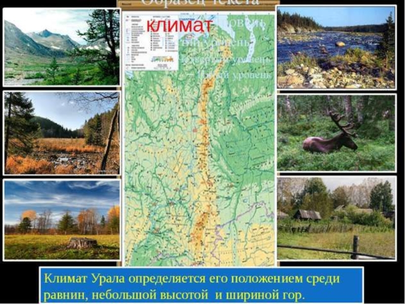 Презентация Презентация по географии на тему Урал (8 класс)