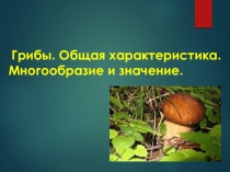 Презентация по биологии для 5 класса Грибы