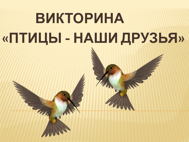 Презентация Презентация викторины Птицы - наши друзья