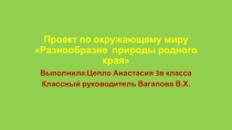 Презентация проекта Цепло Анастасии