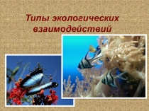 Презентация Типы биотических отношений биология 9,11 кл