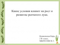 Презентация проекта Какие условия влияют на рост и развитие репчатого лука