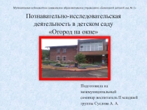 Познавательно-исследовательская деятельность в детском саду Огород на окне