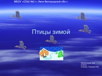 Презентация по окружающему миру Птицы зимой (2 класс)