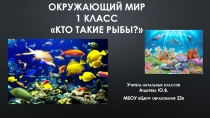Презентация по окружающему миру Кто такие рыбы? 1 класс