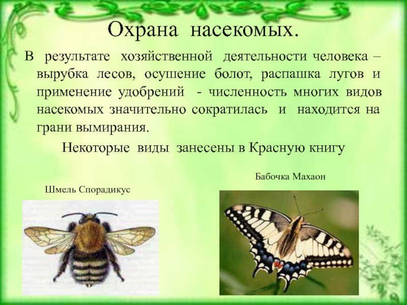 Составьте план рассказа об образе жизни общественных насекомых