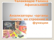 Разработка урока по биологии в 8 классе на тему: Органы кровообращения