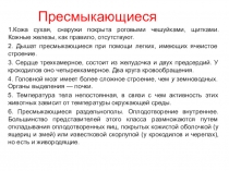Презентация по биологии на тему Пресмыкающиеся (7 класс)