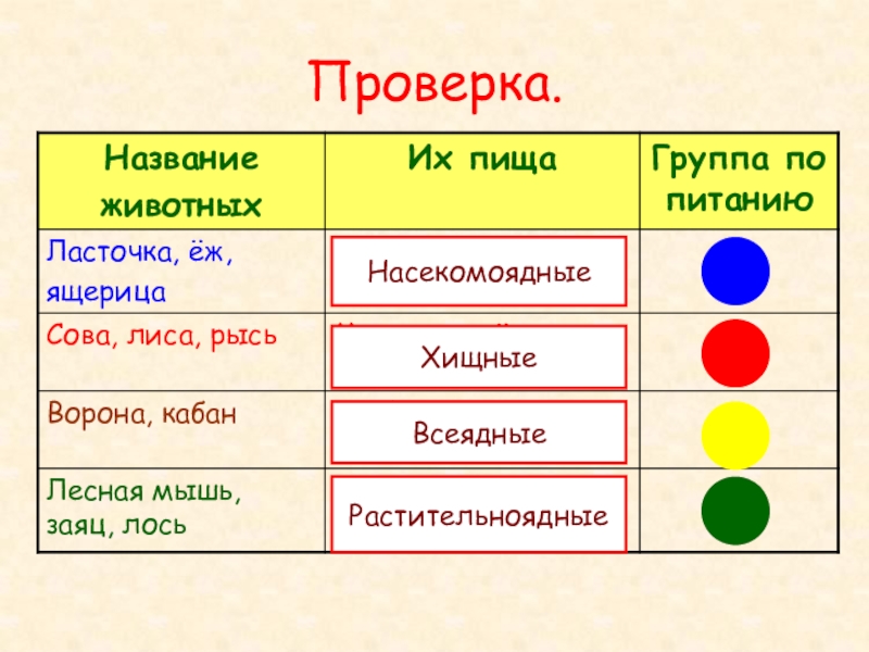 Называть проверить. Ласточка ёж ящерица группа по питанию. Группы животных по питанию. Группы животных по названию пищи. Группы животных по названию пищи которую они употребляют.