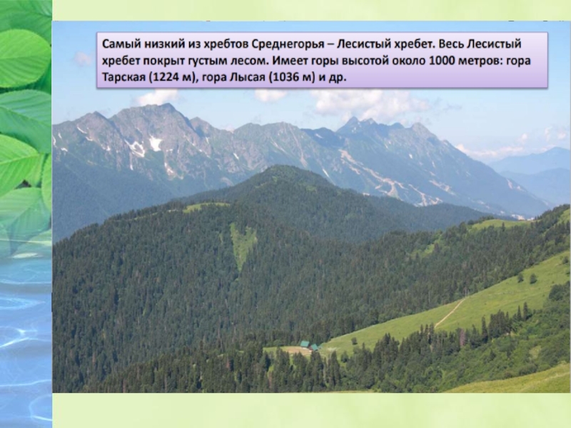 По равнинам и горам окружающий мир 4. Лесистый хребет. Лесистый хребет Кавказа. Вершины лесистого хребта. Пастбищный и Лесистый хребты.