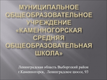 Презентация по социальной педагогике Практика работы МОУ Каменногорская СОШ по организации внешнего и внутреннего взаимодействия специалистов образовательного учреждения, специалистов организаций и ведомств в работе с несовершеннолетними группы социальн