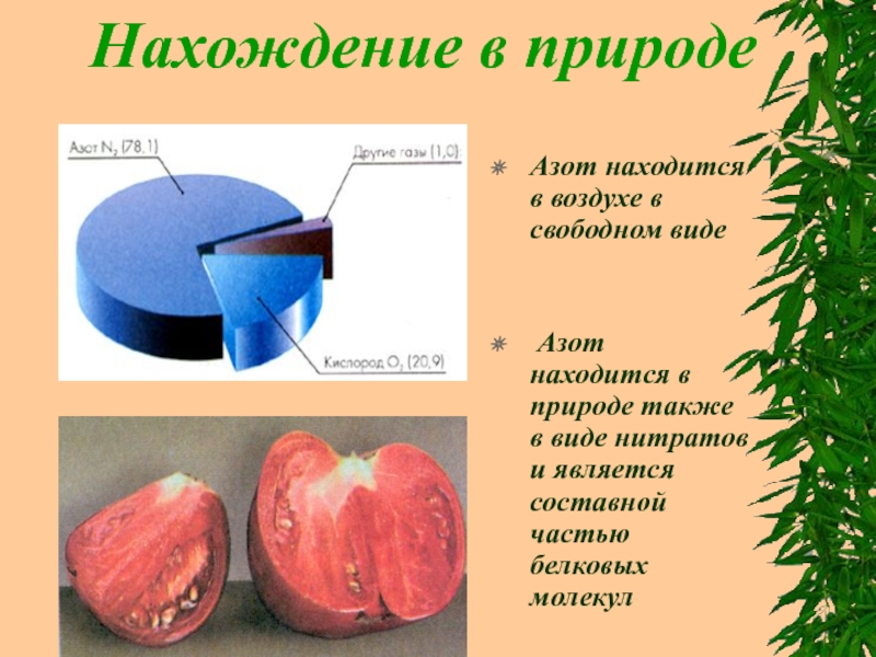 Что в свободном находится. Нахождение в природе азота. Нахождение азона в природе. Азот нахождение в природе кратко. Распространенность азота в природе.