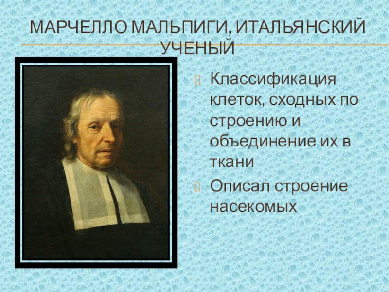 Классификация ученых. Ученый Марчелло Мальпиги. Опыт Марчелло Мальпиги. Мальпиги открытия. М Мальпиги вклад в биологию.