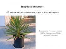 Презентация . Творческий проект Комнатные растения в интерьере жилого дома Технология 6 класс