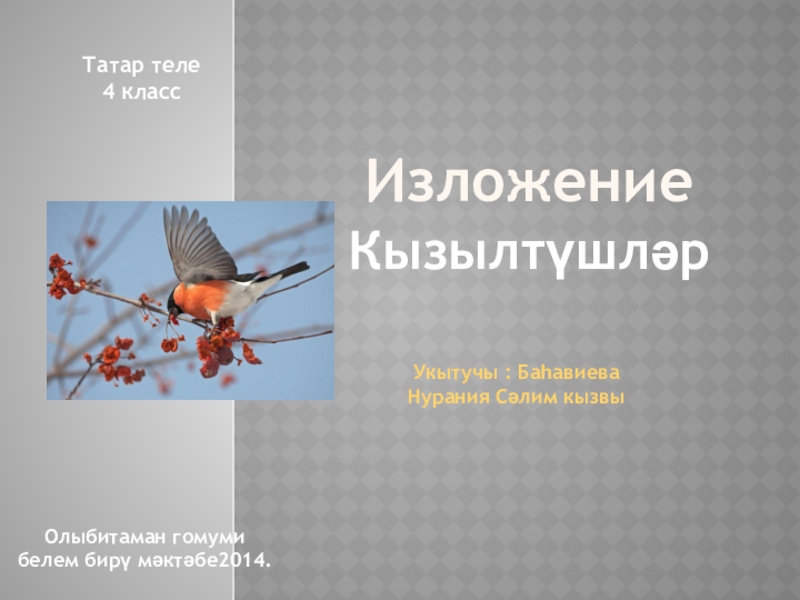 Презентация Изложение на татарском языке  Кызылтушлэр