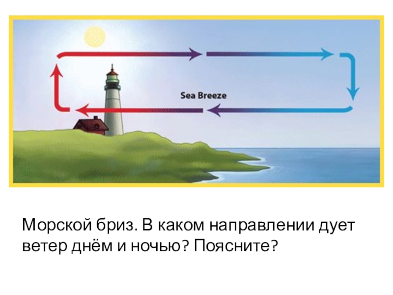 Куда дует. В каком направлении дует ветер. Ветер дующий в одном направлении. Бриз направление ветра. Конвекция воздуха.