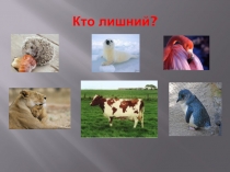 Презентация к уроку на тему Мои домашние питомцы 1класс