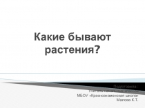 Презентация к уроку окружающего мира на тему Какие бывают растения? (2 класс УМК Школа России)