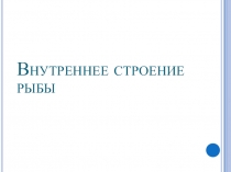 Презентация по биологии на тему: Внутреннее строение рыб(7 класс)