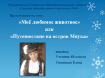 Моё любимое животное или путешествие на остров Мяука